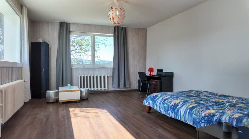 Maison de 3 logements avec ateliers au formidable potentiel (7)