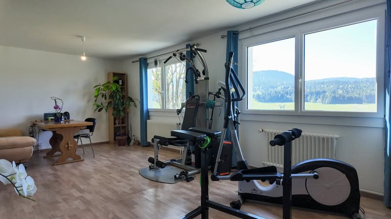Maison de 3 logements avec ateliers au formidable potentiel (8)