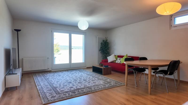 Maison de 3 logements avec ateliers au formidable potentiel (2)