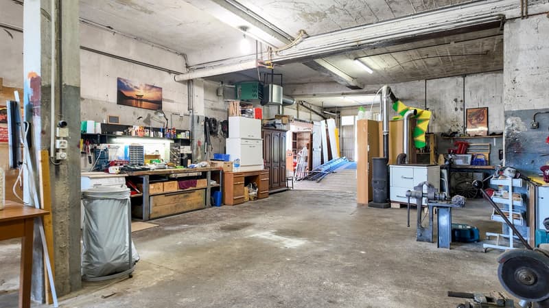 Maison de 3 logements avec ateliers au formidable potentiel (10)