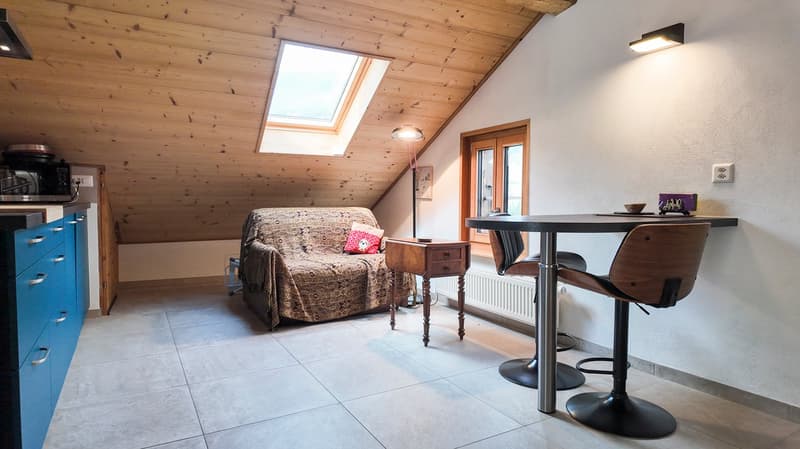 Splendide maison villageoise rénovée avec studio indépendant (10)