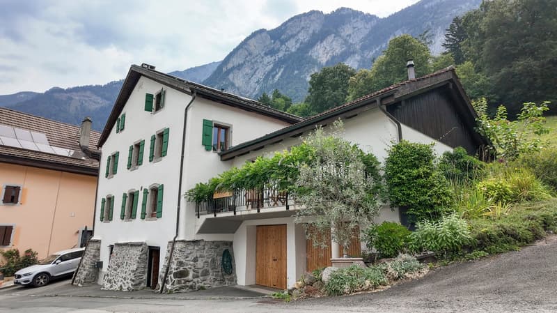 Splendide maison villageoise rénovée avec studio indépendant (1)