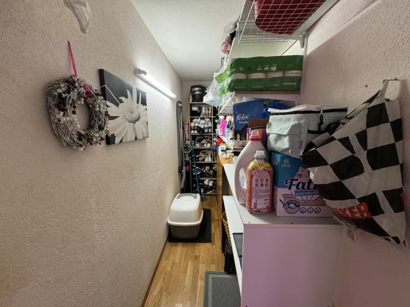 Appartement traversant de 4.5pce (8)