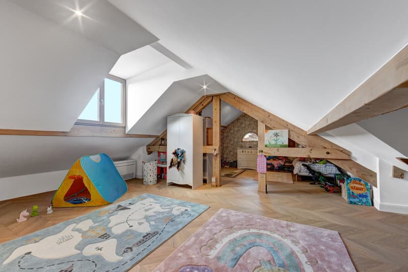 Stunning 320 m² villa fully renovated with high-End features, just steps from the Jussy village. (12)