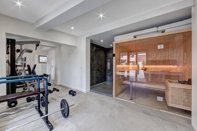 Stunning 320 m² villa fully renovated with high-End features, just steps from the Jussy village. (6)