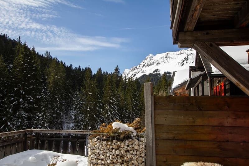 Charming Alpine apartment with Cozy Interiors and Stunning Mountain Views (5)