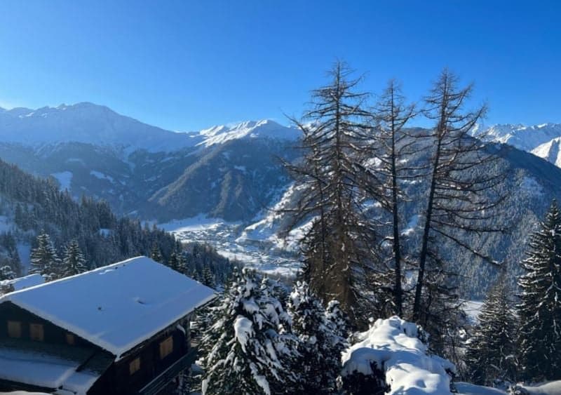Chalet with snow-covered roof, positioned in snowy mountainous region, surrounded by pine trees.