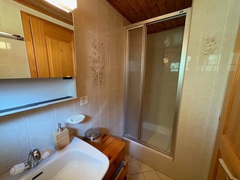 3 Bedroom attic apartment on Les Moulins (8)