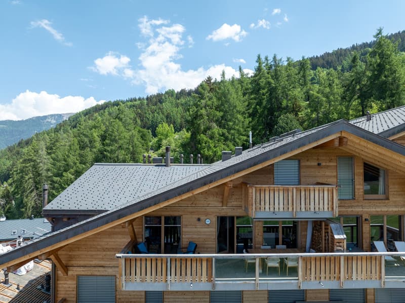 Stunning ski in ski out penthouse in Haute Nendaz (12)