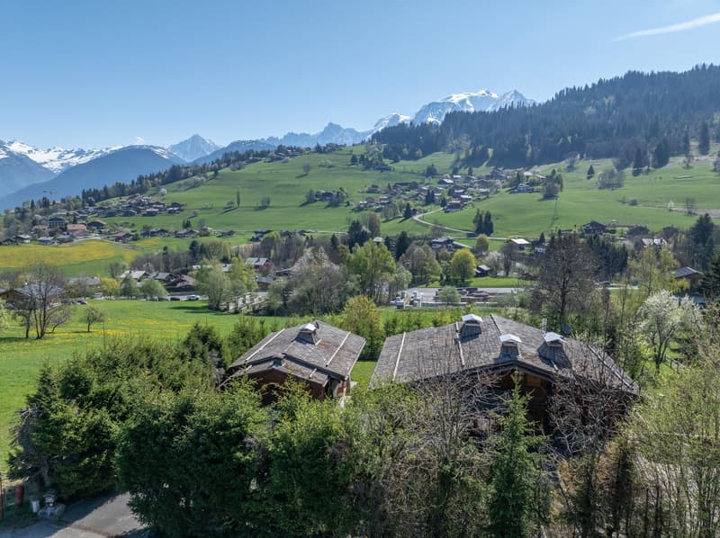 Propriété d'exception de deux chalets indépendants avec studio, face au Mont-Blanc (2)