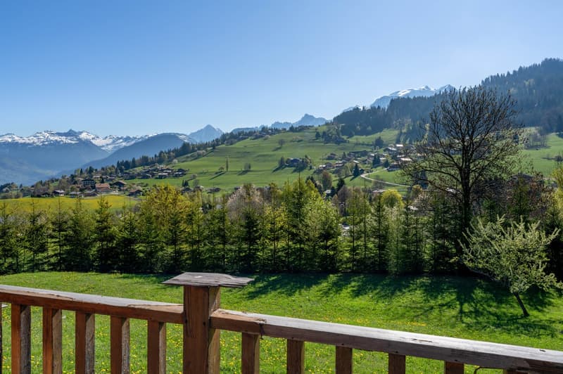 Propriété d'exception de deux chalets indépendants avec studio, face au Mont-Blanc (11)