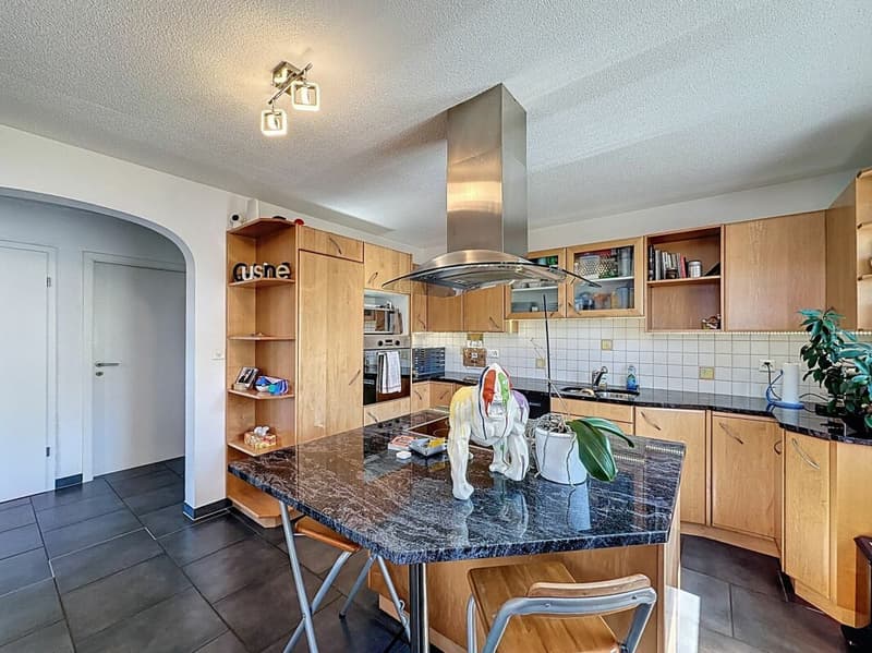 Immeuble de 2 appartements à Palézieux (4)