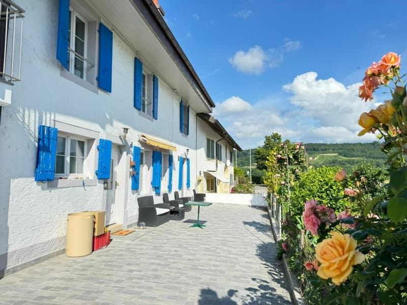 15 MIN DE LAUSANNE charmante maison familiale (3)