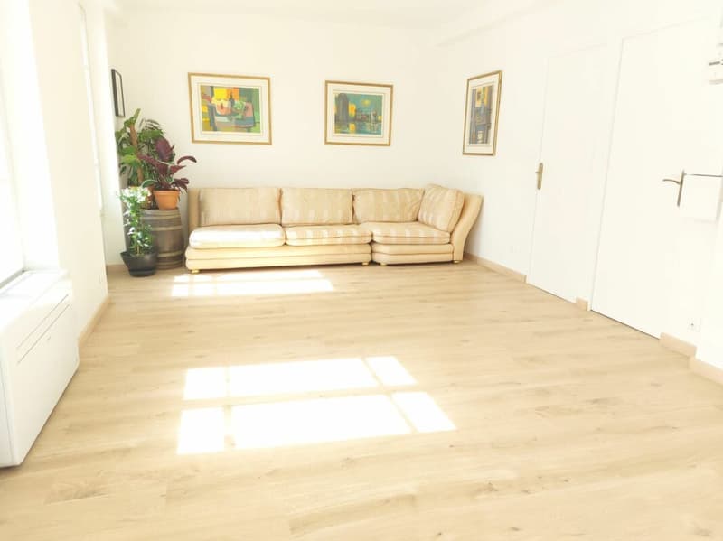 Paris : Appartement traversant proche des commodités entièrement rénové (2)