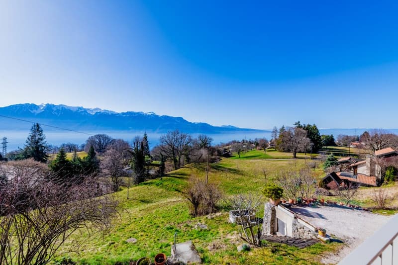 Maison de caractère rénovée avec vue panoramique sur le lac et les Alpes (1)