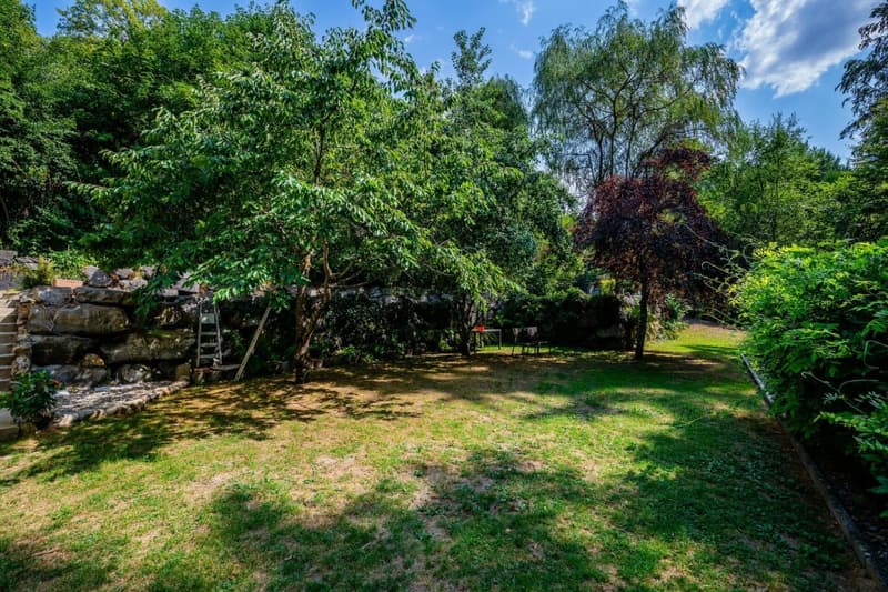 Propriété à vendre, Vucherens (7)
