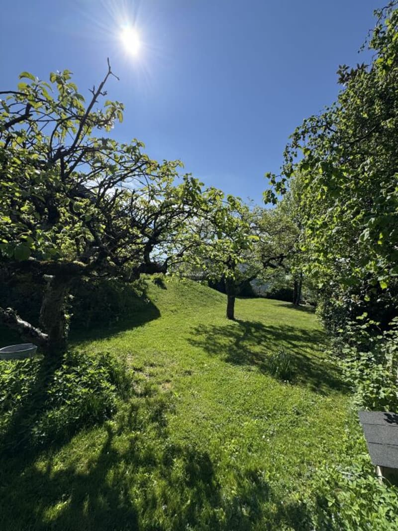 Lutry : Villa individuelle avec potentiel d'agrandissement (5)