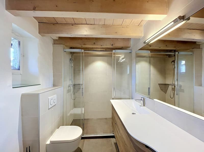 Salle de douche / WC - 1er étage