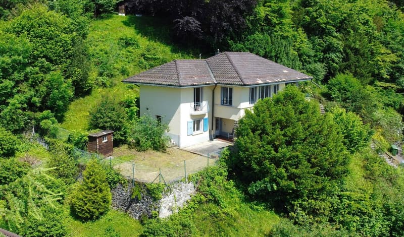 VILLA INDIVIDUELLE - VUE PANORAMIQUE LAC ET MONTAGNES (2)