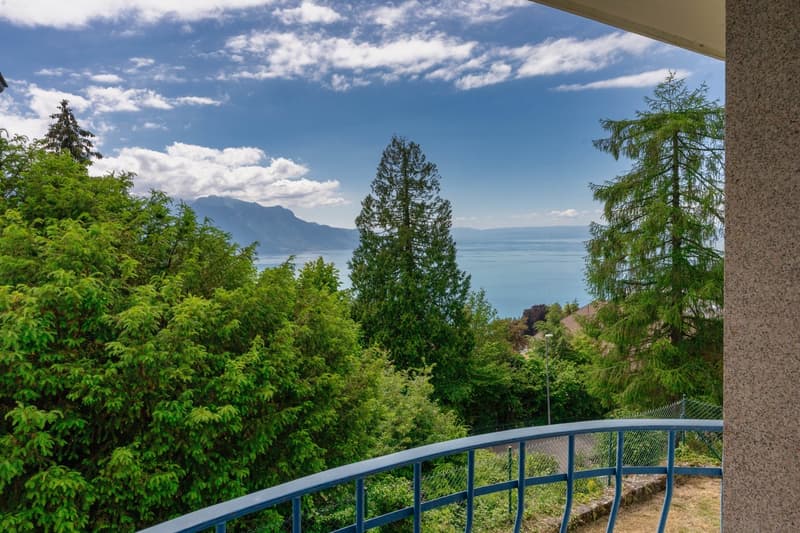 VILLA INDIVIDUELLE - VUE PANORAMIQUE LAC ET MONTAGNES (7)