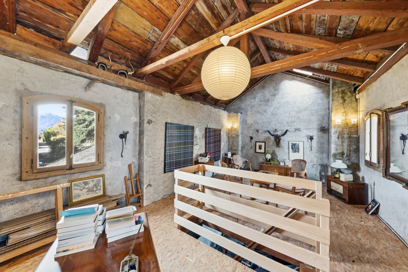 MAISON DE MAÎTRE - ATELIER ET PARC - VUE PANORAMIQUE (12)