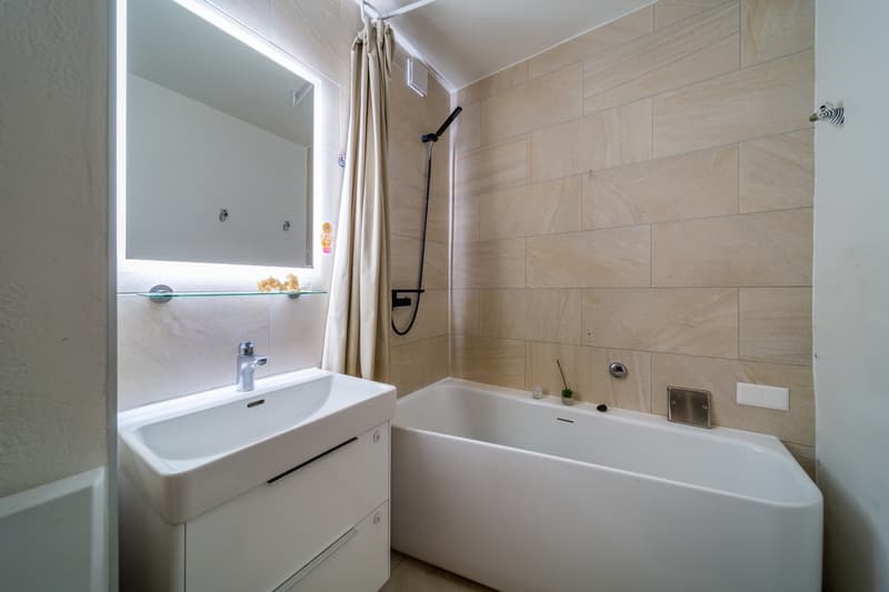 APPARTEMENT RÉNOVÉ ~10% DE RDT SUR FONDS PROPRES - GARAGE BOX - EN EXCLUSIVITÉ (3)