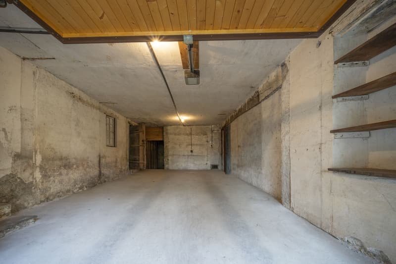 MAISON + BATISSE À RÉNOVER - CALME ET VERDURE - CENTRE - EXCLUSIVITÉ (13)