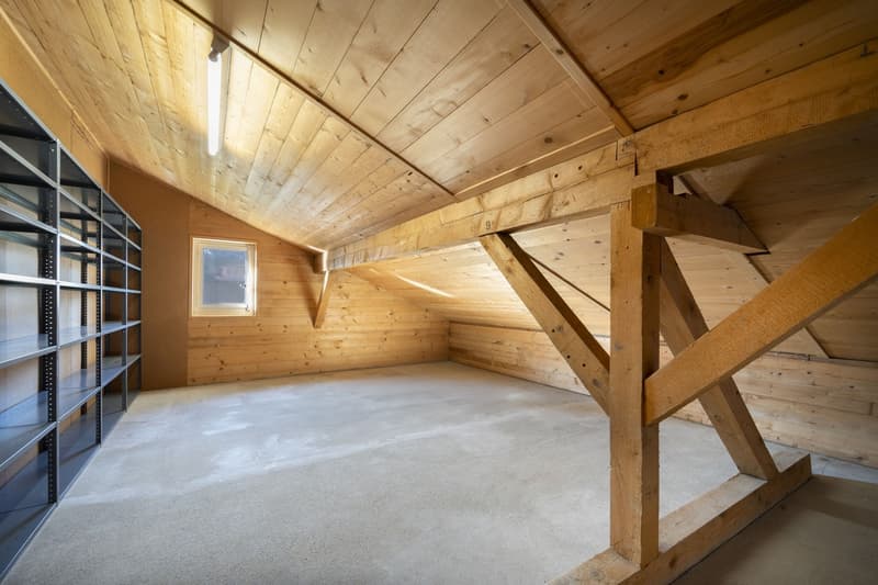 MAISON + BATISSE À RÉNOVER - CALME ET VERDURE - CENTRE - EXCLUSIVITÉ (9)