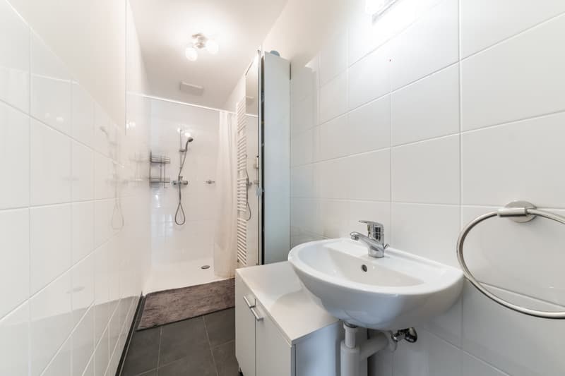 APPARTEMENT RÉNOVÉ AVEC JARDIN - AU CALME - 3-4 PARKINGS - EXCLUSIVITÉ (8)