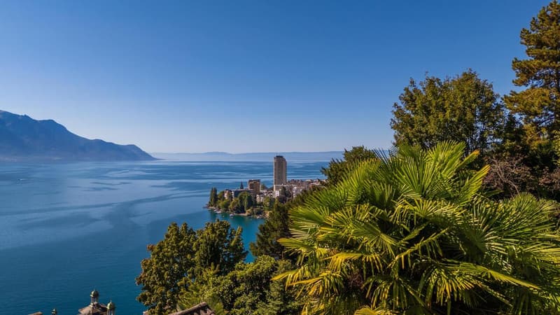 VILLA DE 3 APPARTEMENTS - VUE LAC IMPRENABLE - BIEN RARE - EXCLUSIVITÉ (13)