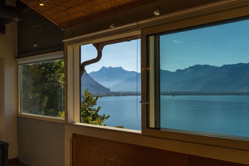 VILLA DE 3 APPARTEMENTS - VUE LAC IMPRENABLE - BIEN RARE - EXCLUSIVITÉ (4)