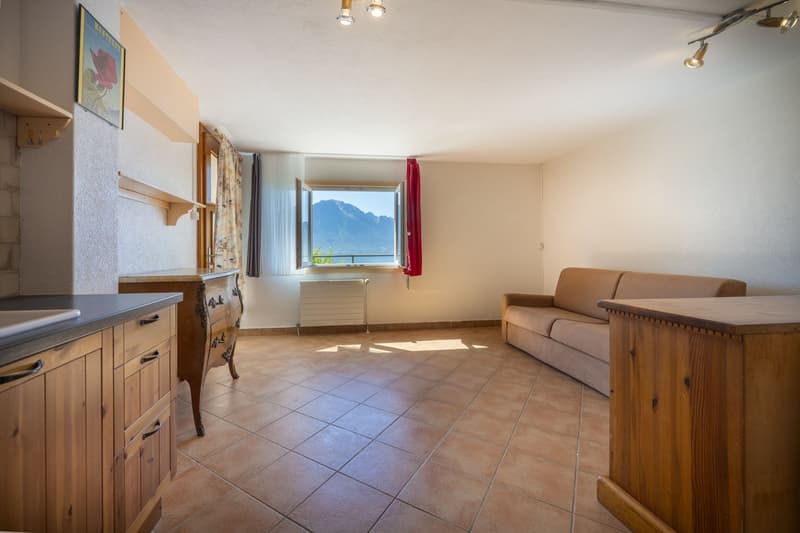 VILLA DE 3 APPARTEMENTS - VUE LAC IMPRENABLE - BIEN RARE - EXCLUSIVITÉ (9)