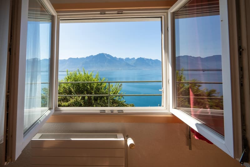 VILLA DE 3 APPARTEMENTS - VUE LAC IMPRENABLE - BIEN RARE - EXCLUSIVITÉ (10)