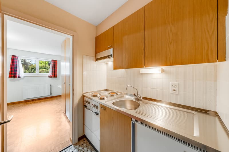VILLA INDIVIDUELLE + STUDIO - 3 GARAGES - EN EXCLUSIVITÉ (7)