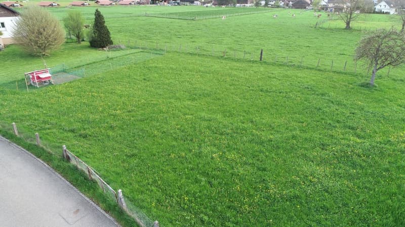 Magnifique terrain plat à vendre dans un endroit calme proche de la nature (2)