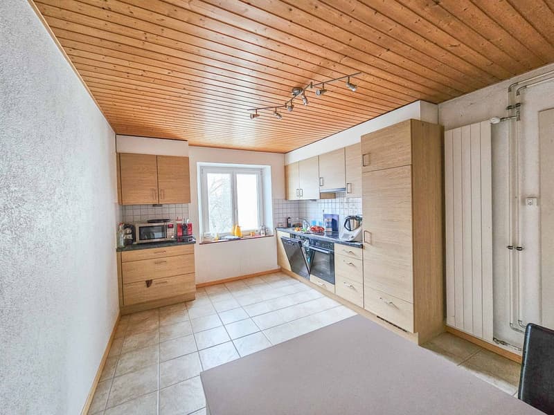 Maison de 2 appartements avec un grand atelier offrant un magnifique potentiel sur un terrain de plus de 1000 m2 (2)