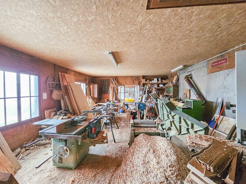 Maison de 2 appartements avec un grand atelier offrant un magnifique potentiel sur un terrain de plus de 1000 m2 (4)