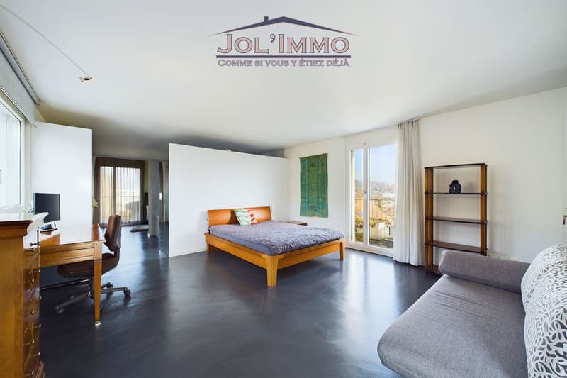 Attique avec Vue Panoramique à 360 à Bienne - Une Opportunité Unique ! (8)