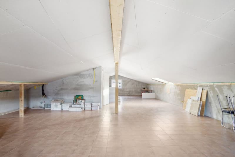 Grande villa moderne à vendre à Bassecourt (8)