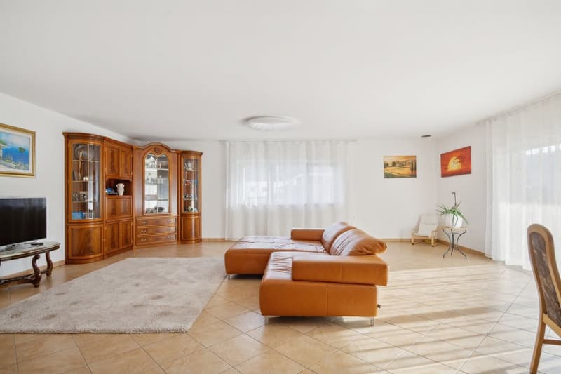 Grande villa moderne à vendre à Bassecourt (5)