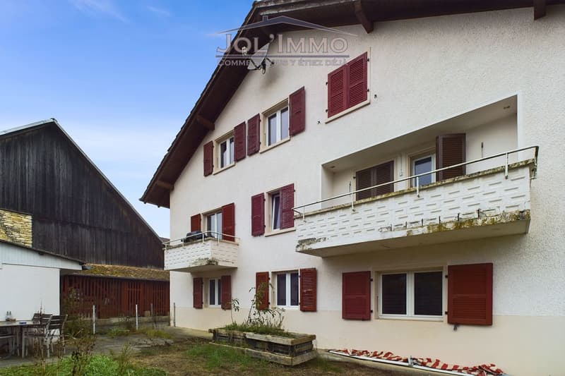 Grand immeuble de 3 appartements (1)
