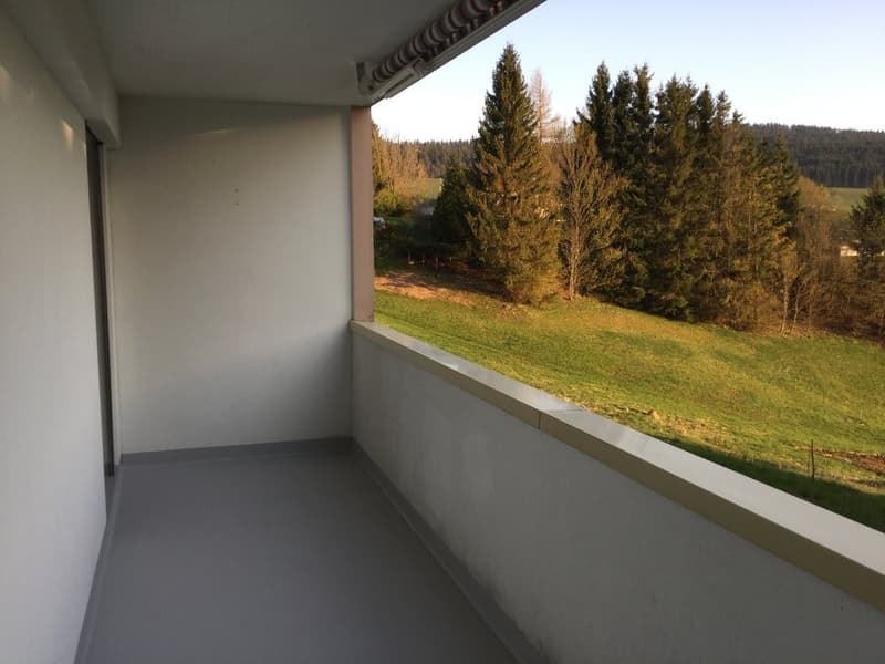 32720150002_balcon.JPG