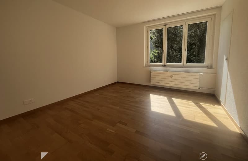 SZ.jpg