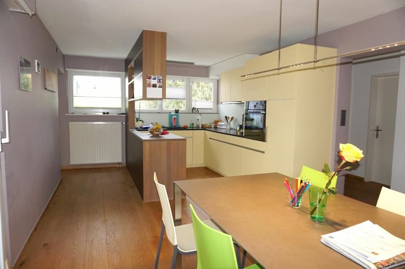 ARI-231 Maison individuelle rénovée de 5,5 pièces sur une parcelle de 760 m2 (6)