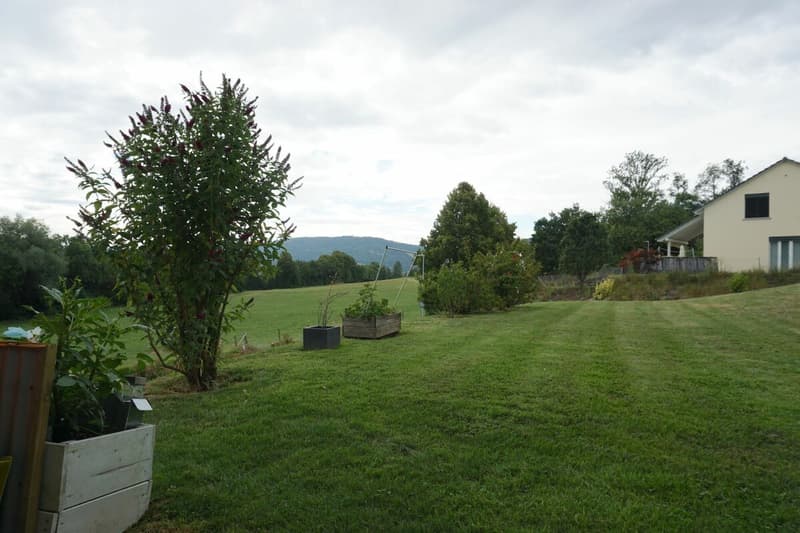 ARI-240 - Appartement en rez de 5,5 pièces, sud-ouest, vue dégagée, 133 m2 net habitable (9)