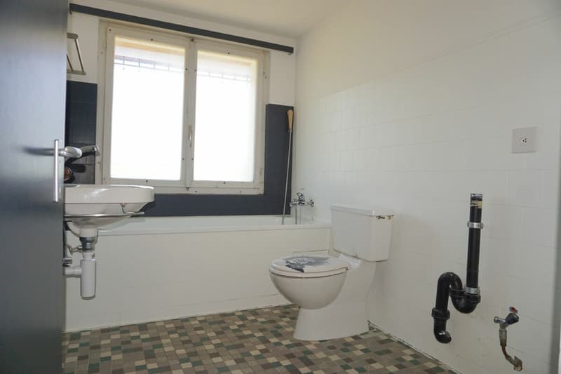 ARI-242 Maison de 2 appartements sur une parcelle de 1'485 m2 (21)