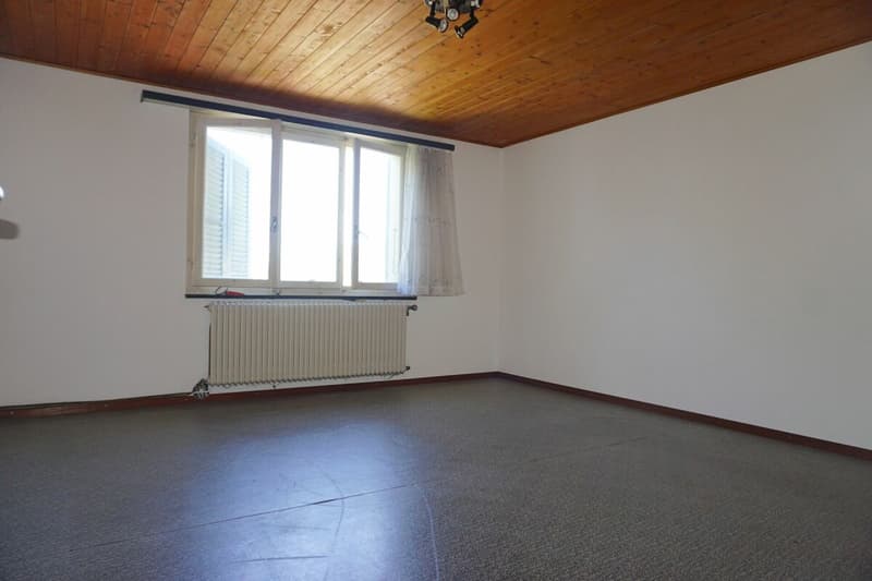 ARI-242 Maison de 2 appartements sur une parcelle de 1'485 m2 (20)