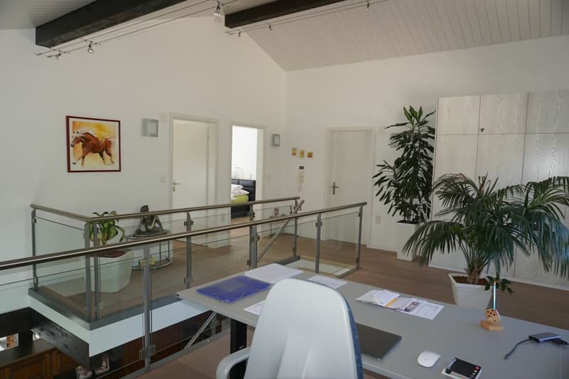 ARI-244 Luxueuse villa avec piscine et vue imprenable (9)
