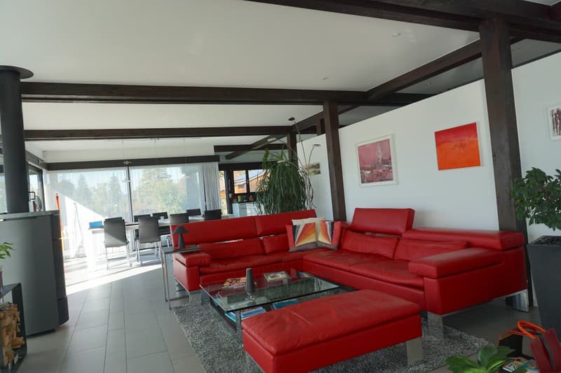 ARI-244 Luxueuse villa avec piscine et vue imprenable (11)