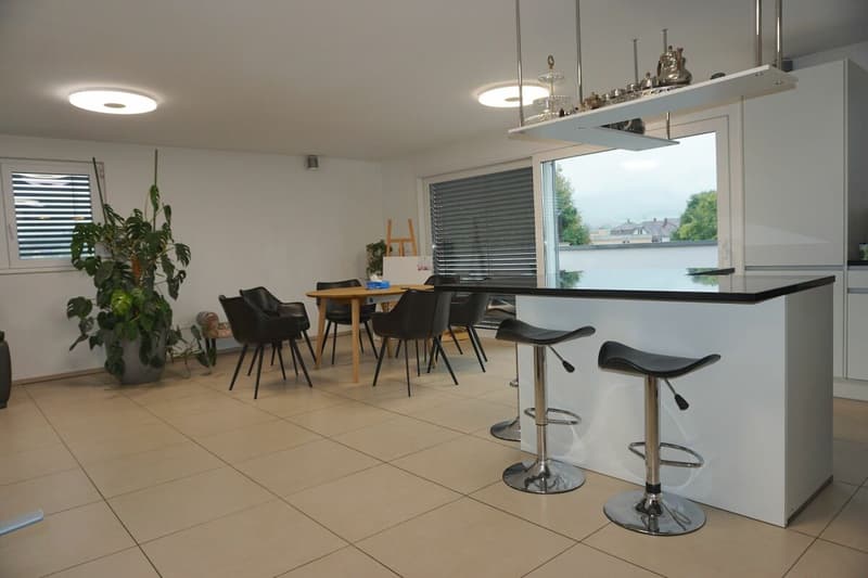 ARI-247 - Attique de 5,5 pièces pour 140 m2 habitable et 128 m2 de terrasse (2)